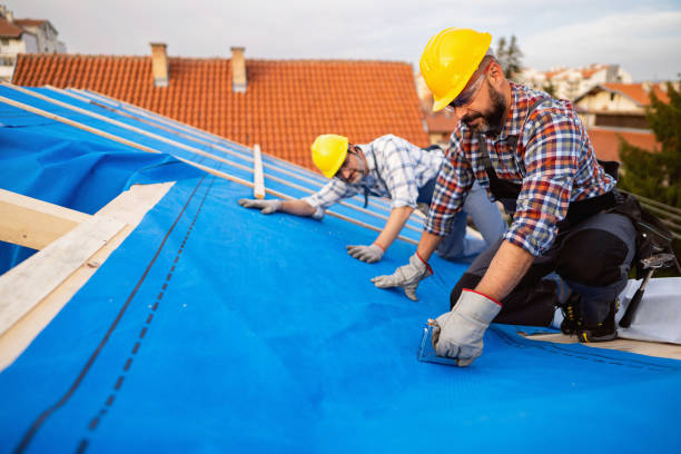 Best Green or Eco-Friendly Roofing Solutions  in Tiltonsville, OH